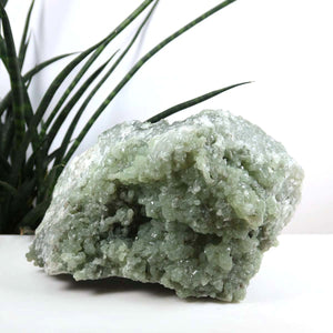 Prehnit 1A Kristall Stufe – aus Marokko 17x11cm - Exklusive Stücke für Sammler und Liebhaber Unikat Nr.2, grüner Edelstein auf weißem Display