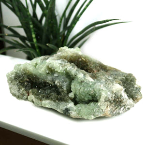 Prehnit grün natürliche Kristall Stufe Sammlerstück –20x7cm -Nr.48 auf weißem Hintergrund mit Pflanzen