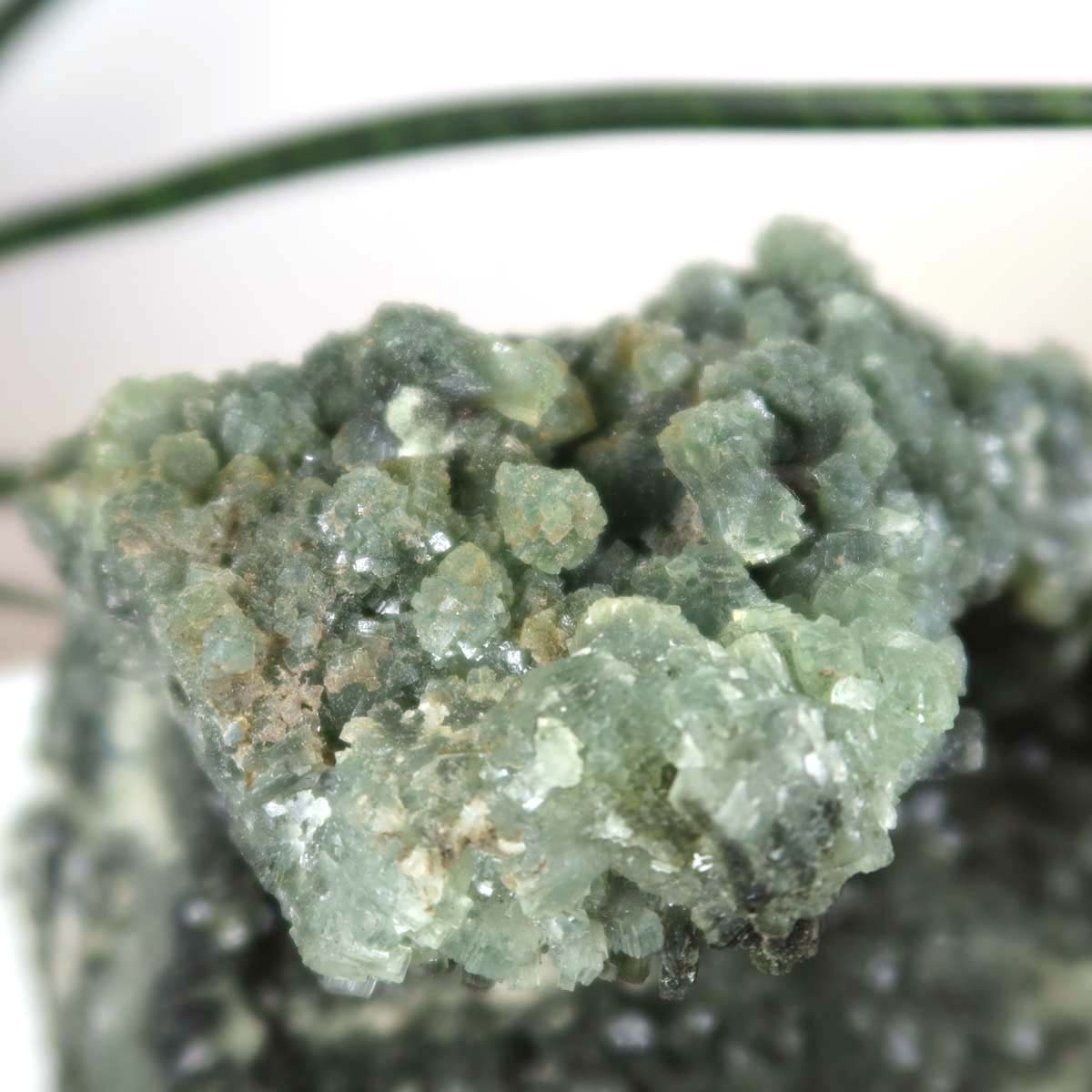 Prehnit 1A Kristall Stufe – aus Marokko 18x12cm - Exklusive Stücke für Sammler und Liebhaber Unikat Nr.40