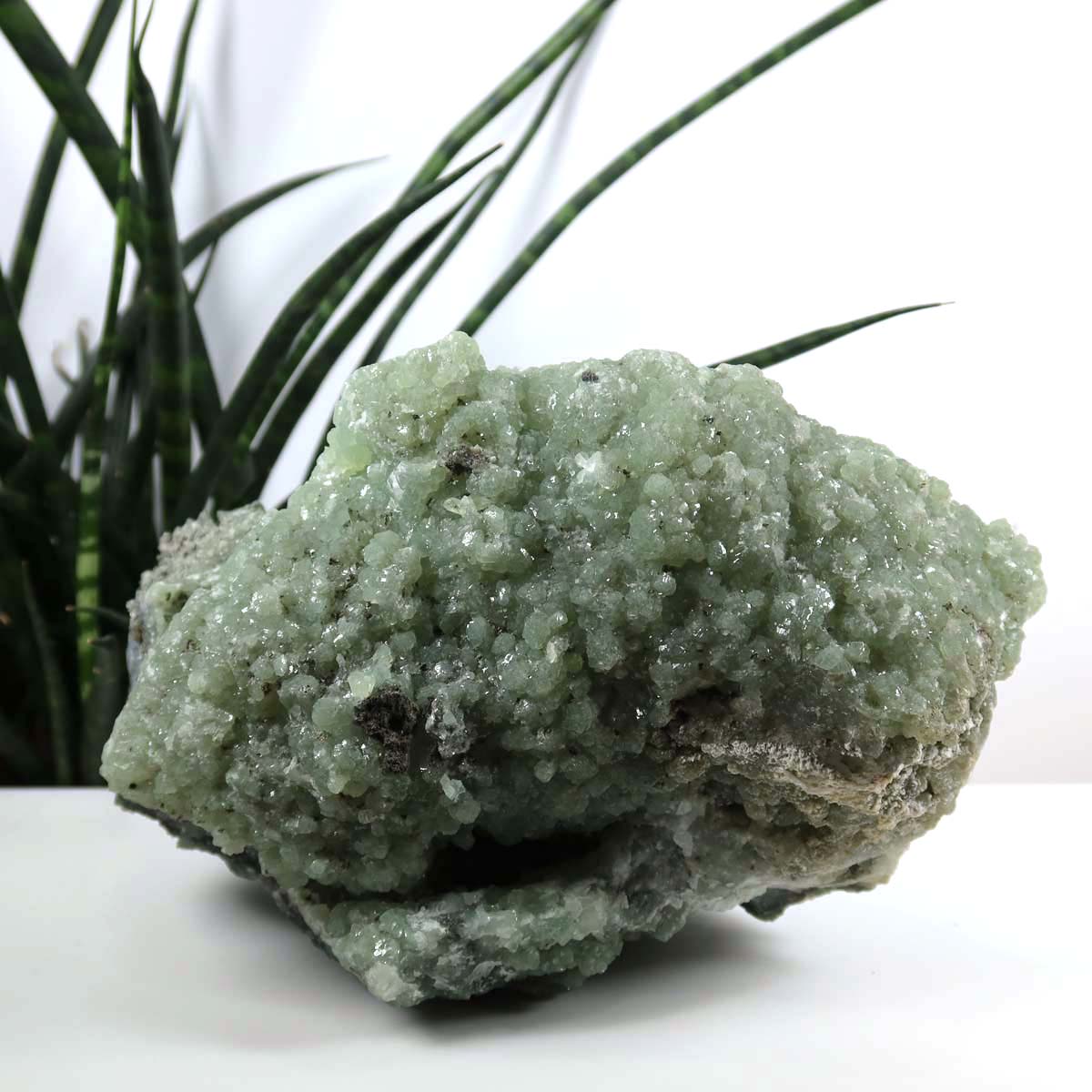 Prehnit 1A Kristall Stufe – aus Marokko 18x9cm - Exklusive Stücke für Sammler und Liebhaber Unikat Nr.38