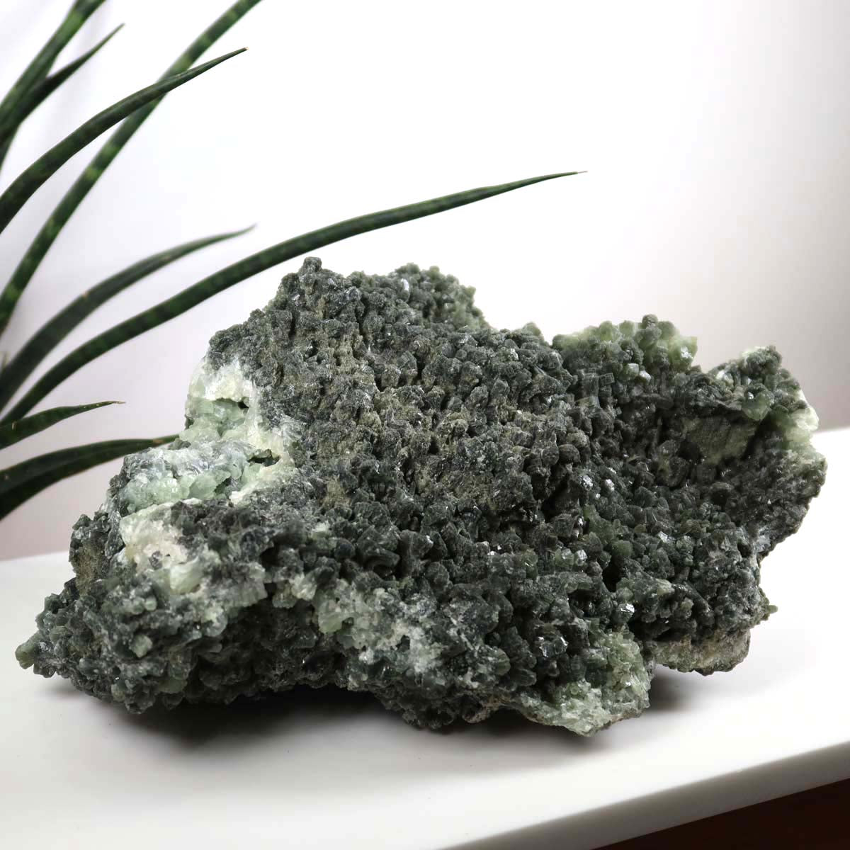 Prehnit 1A Kristall Stufe – aus Marokko 22x10cm - Exklusive Stücke für Sammler und Liebhaber Unikat Nr.36 auf weißem Hintergrund