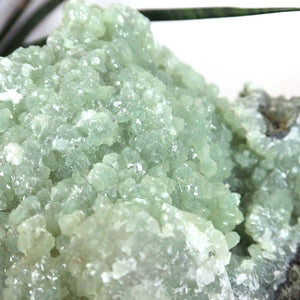 Prehnit 1A Kristall Stufe – aus Marokko 18x9cm - Exklusive Stücke für Sammler und Liebhaber Unikat Nr.38 in grünem Kristall