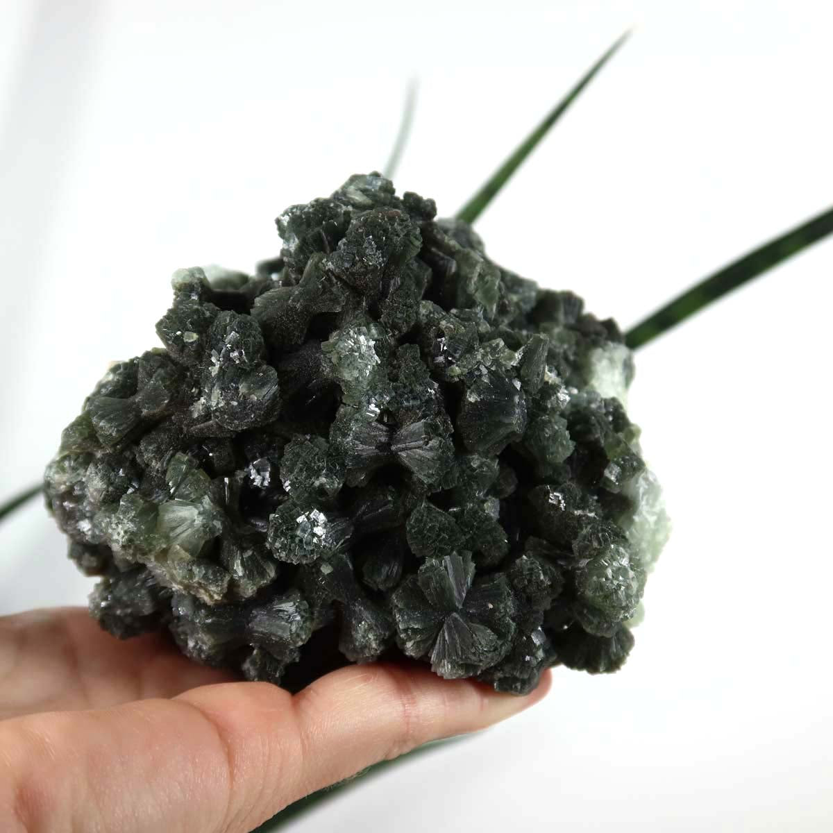 Prehnit 1A Kristall Stufe – aus Marokko 9x6cm - Exklusive Stücke für Sammler und Liebhaber Unikat Nr.23 in Handfläche