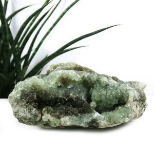 Prehnit grün natürliche Kristall Stufe Sammlerstück –20x7cm -Nr.48 auf weißem Hintergrund mit Pflanze