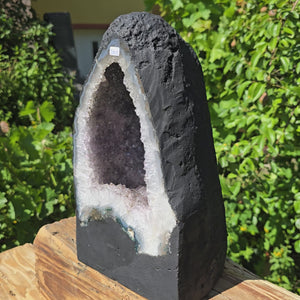 Amethyst Druse – Geode - 31x19cm und 12kg – Steinwelten OG - Nr. 305 in sunlight with vibrant crystals.