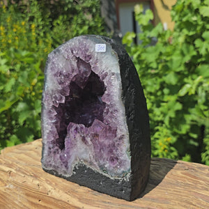 Amethyst Druse – Geode - 19x15x11cm und 8,2kg – Steinwelten OG - Nr. 301 showcasing amethyst crystals in a lush outdoor setting.