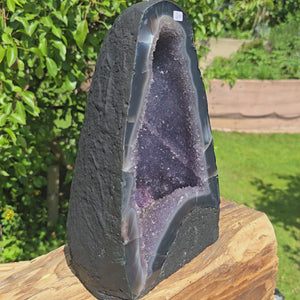 Amethyst Druse – Geode - 29x18x14cm und 8,1kg – Steinwelten OG - Nr. 310 on display in a garden setting