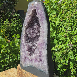 Amethyst Druse – Geode - 49x26x14cm und 21kg – Steinwelten OG - Nr. 3, leuchtend violette Kristalle, Brasilien, Blickfang