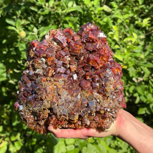 Vanadinit - Natürliche Kristallstufe aus Marokko 30x17x13cm - 8,2kg Nr.101 in der Hand, leuchtende rote Kristalle