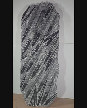 Orthocera und Ammoniten-XL-(freistehend)- 130 x 50cm-280-320 Mill. Jahre -Nr11