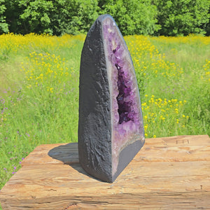 Amethyst Druse – Geode – Harmonie und Entspannung - 49x30x19cm - Nr. 43
