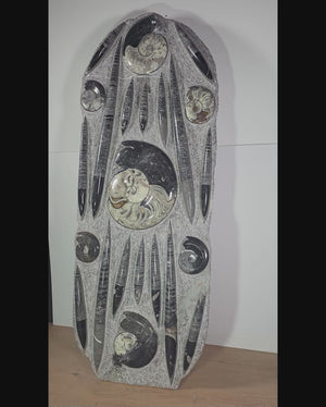 Orthocera und Ammoniten-XL-(freistehend)-123 x 48cm-280-320 Mill. Jahre -Nr. 2