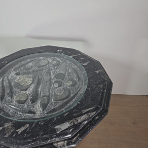 Tavolino da caffè con Orthoceras e Ammoniti - Fossili in pietra naturale - N.1