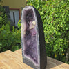 Amethyst Druse – Geode - 49x22x18cm und 18,2kg – Steinwelten OG - Nr. 192, ideal for stylish decor in homes and offices.