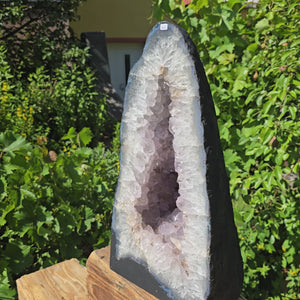 Amethyst Druse – Geode - 46x25cm und 22kg – Steinwelten OG - Nr. 345, helle Kristalle, Brasilien, ideal für Wohnraumdekor.