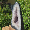 Amethyst Druse – Geode - 46x25cm und 22kg – Steinwelten OG - Nr. 345, helle Kristalle, Brasilien, ideal für Wohnraumdekor.
