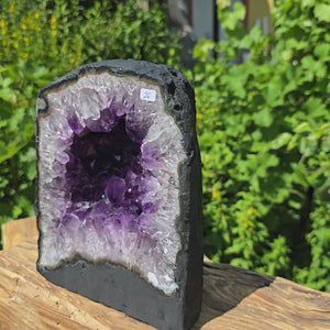 Amethyst Druse – Geode - 22x18x11cm und 6,6kg – Steinwelten OG - Nr. 26 on a wooden surface with greenery background.