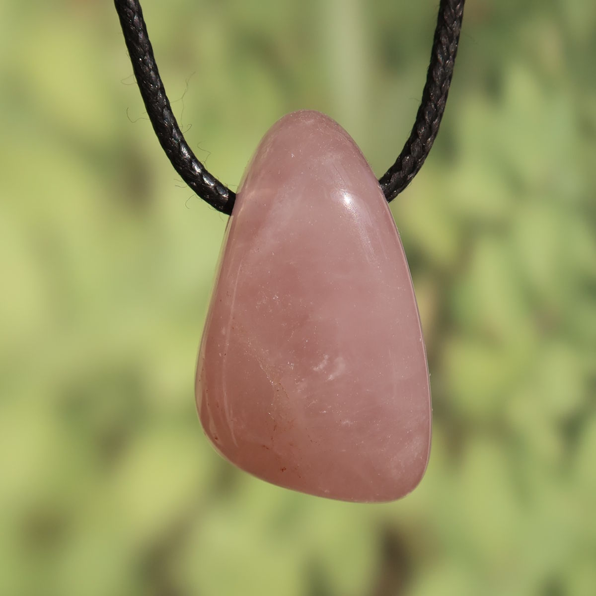Rosenquarz gebohrt - Harmonie und Geborgenheit - Nr. 14 Anhänger in sanftem Rosé auf schwarzem Band.