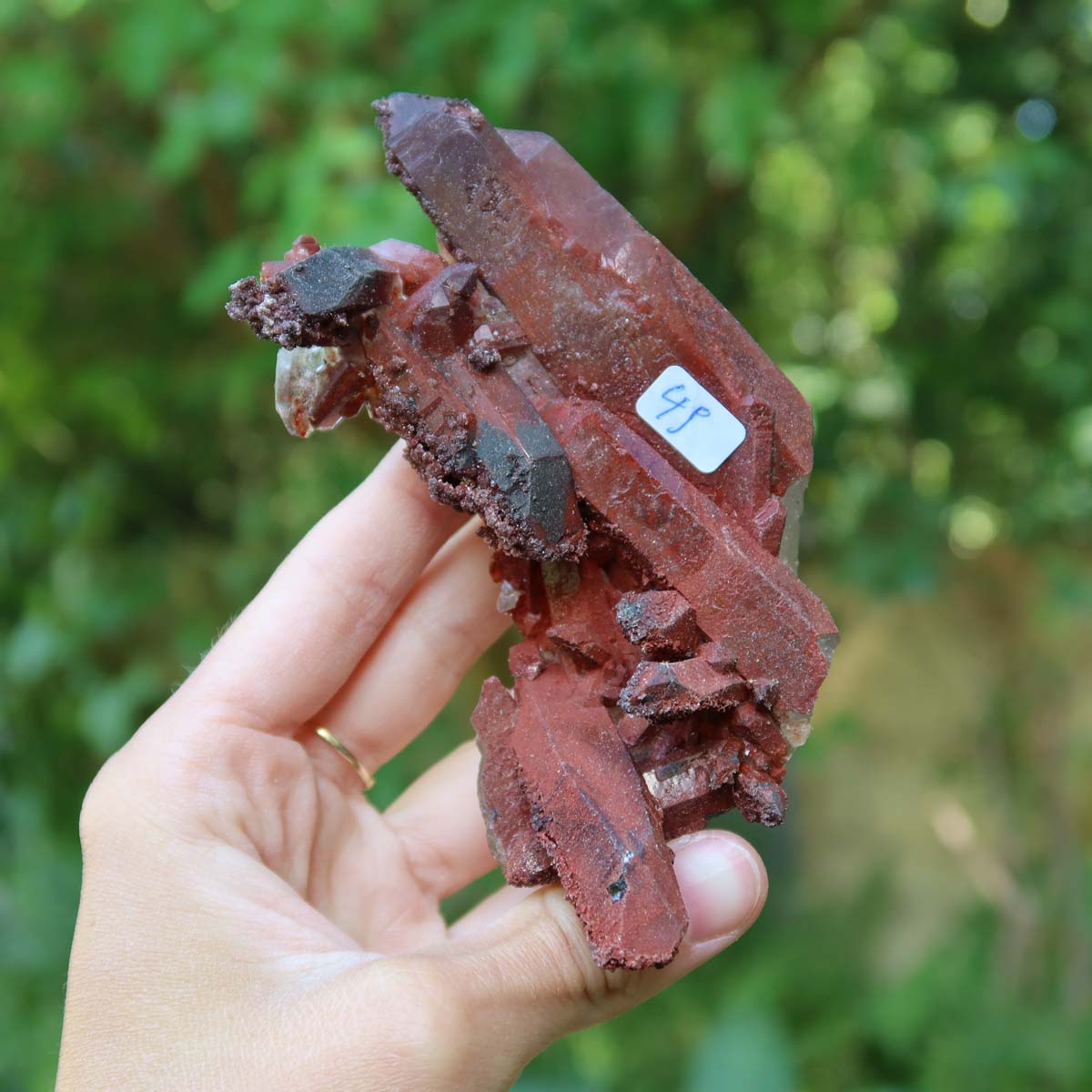 Seltene Hämatit Quarz Bergkristall Stufe (Eisenquarz) 11x7x5cm Marokko Nr. 49