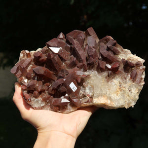 Seltene Hämatit Quarz Bergkristall Stufe (Eisenquarz) 21x14x7cm Marokko Nr. 33
