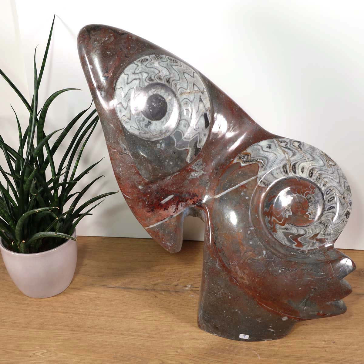Skulptur aus Orthoceras & Ammoniten-Fossilien – 44x34cm 14kg - aus der Urzeit Nr.48 auf einem Holzfußboden.