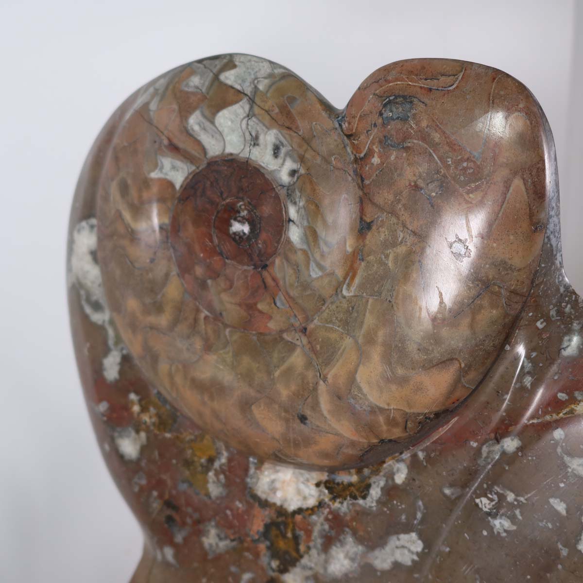 Skulptur aus Orthoceras & Ammoniten-Fossilien – 54x30cm 13,5kg - aus der Urzeit Nr.46 mit Pflanze im Hintergrund