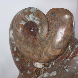 Skulptur aus Orthoceras & Ammoniten-Fossilien – 54x30cm 13,5kg - aus der Urzeit Nr.46