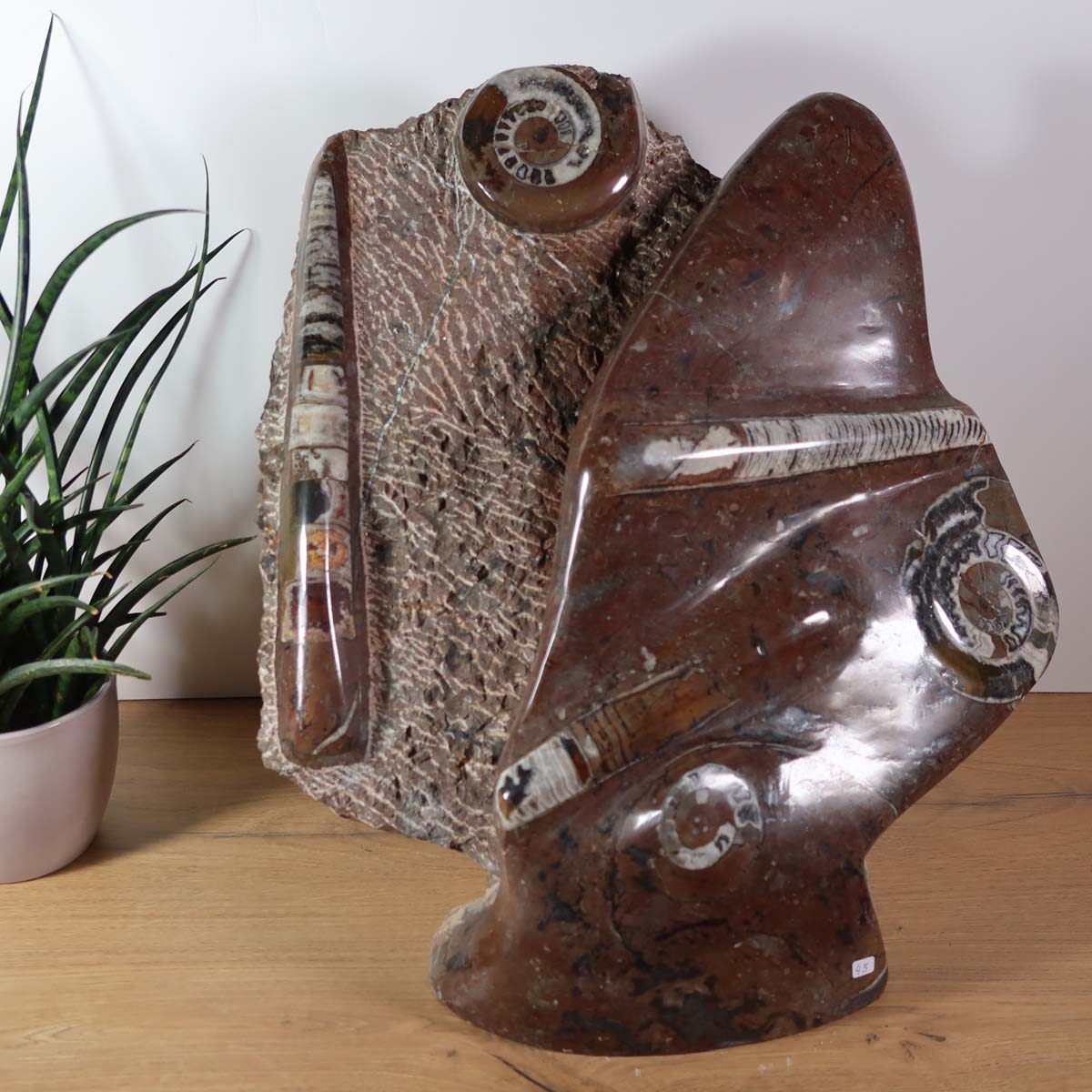 Skulptur aus Orthoceras & Ammoniten-Fossilien – 42x43cm 20kg - aus der Urzeit Nr.45 auf Holzuntergrund