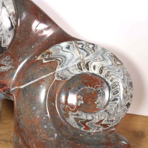 Skulptur aus Orthoceras & Ammoniten-Fossilien – 44x34cm 14kg - aus der Urzeit Nr.48 Detailansicht der Fossilien