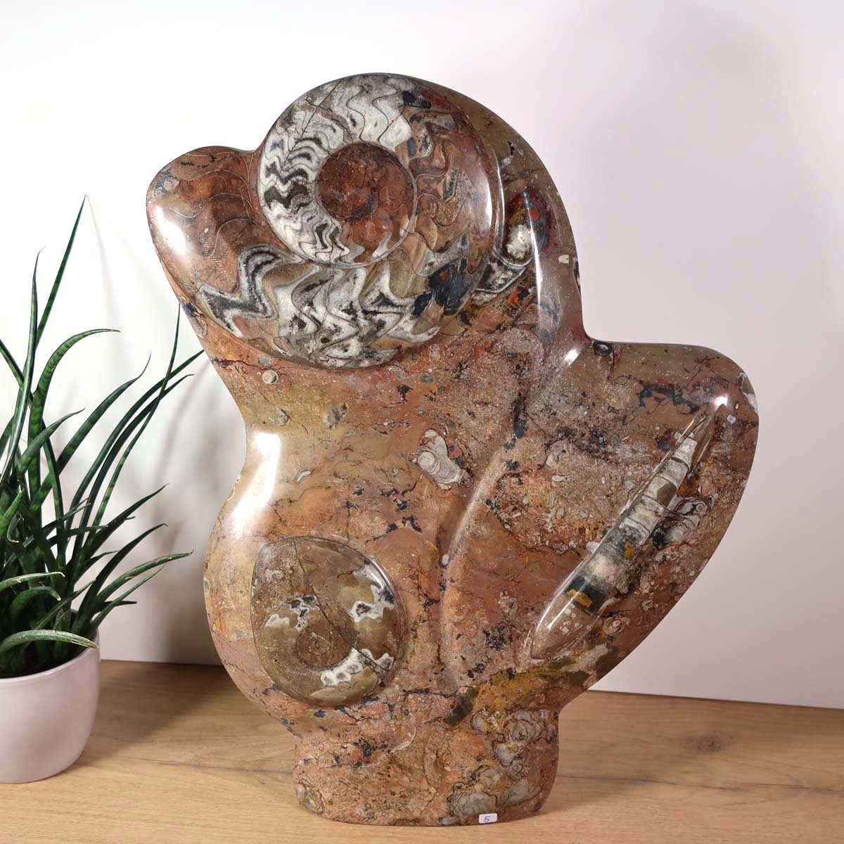 Skulptur aus Orthoceras & Ammoniten-Fossilien – 54x38cm 13,5kg - aus der Urzeit Nr.47 auf einem Holztisch mit Pflanze.