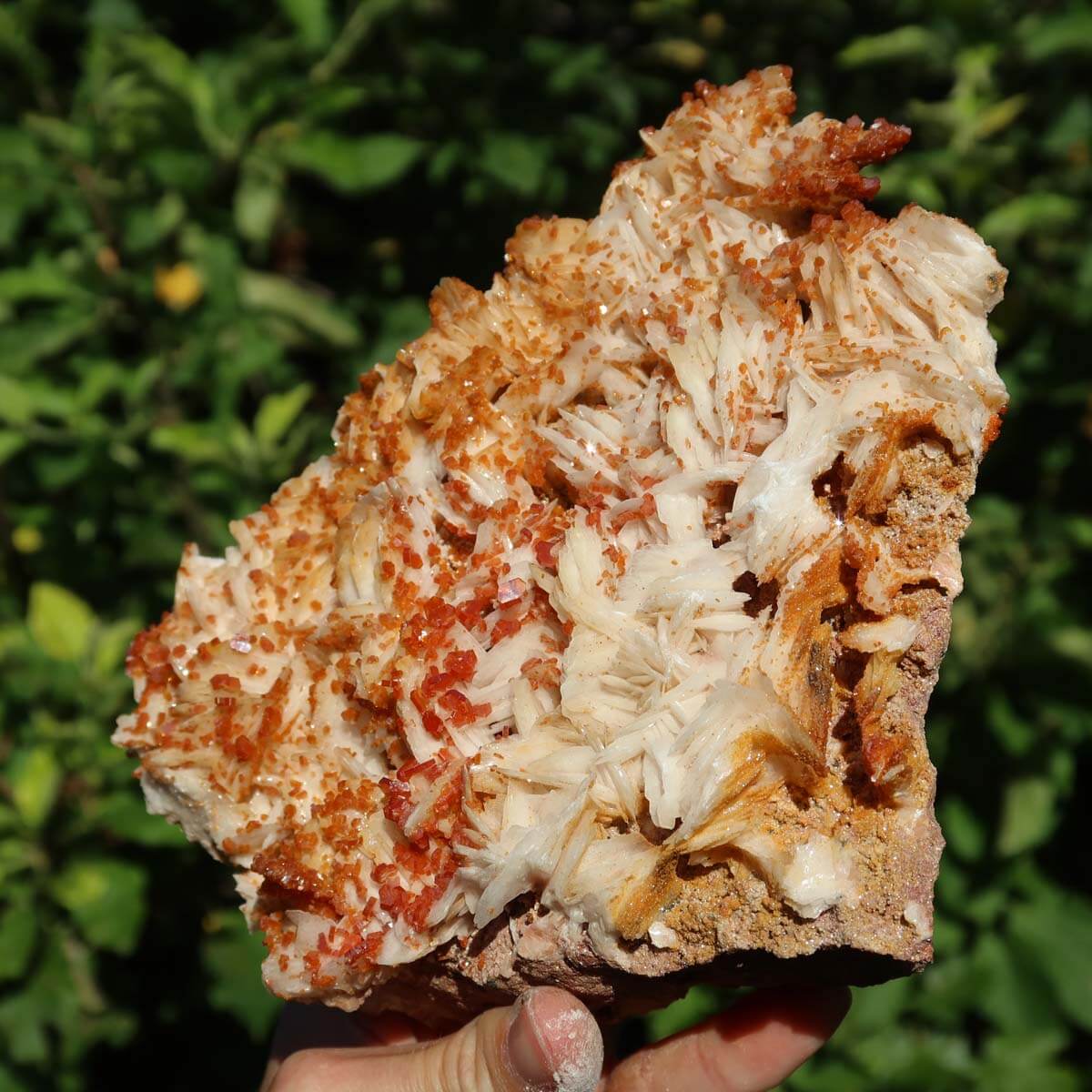 Vanadinit auf Baryt - Natürliche Kristallstufe aus Marokko 15x13x5cm - 1,1kg Nr.85 in voller Pracht