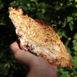 Vanadinit auf Baryt - Natürliche Kristallstufe aus Marokko 18x12x4cm - 0,76kg Nr.84 in Hand
