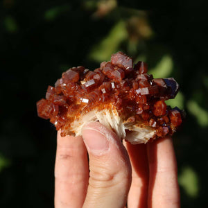 Vanadinit auf Baryt - Natürliche Kristallstufe aus Marokko 7x4x3cm - 0,1kg Nr.88 in der Hand gehalten