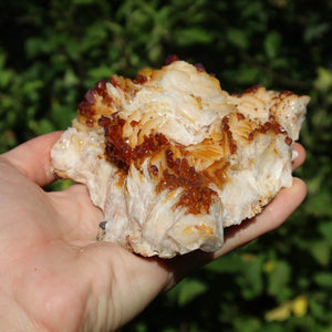 Vanadinit auf Baryt - Natürliche Kristallstufe aus Marokko 13x9x5cm - 0,68kg Nr.82 in Hand gehalten.