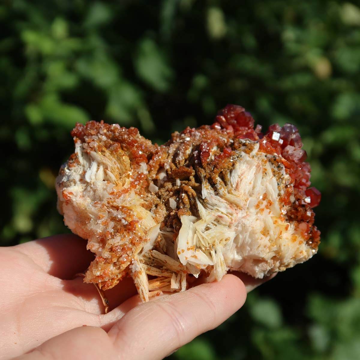 Vanadinit auf Baryt - Natürliche Kristallstufe aus Marokko 8x6x4,5cm - 0,23kg Nr.61 in der Hand gehalten