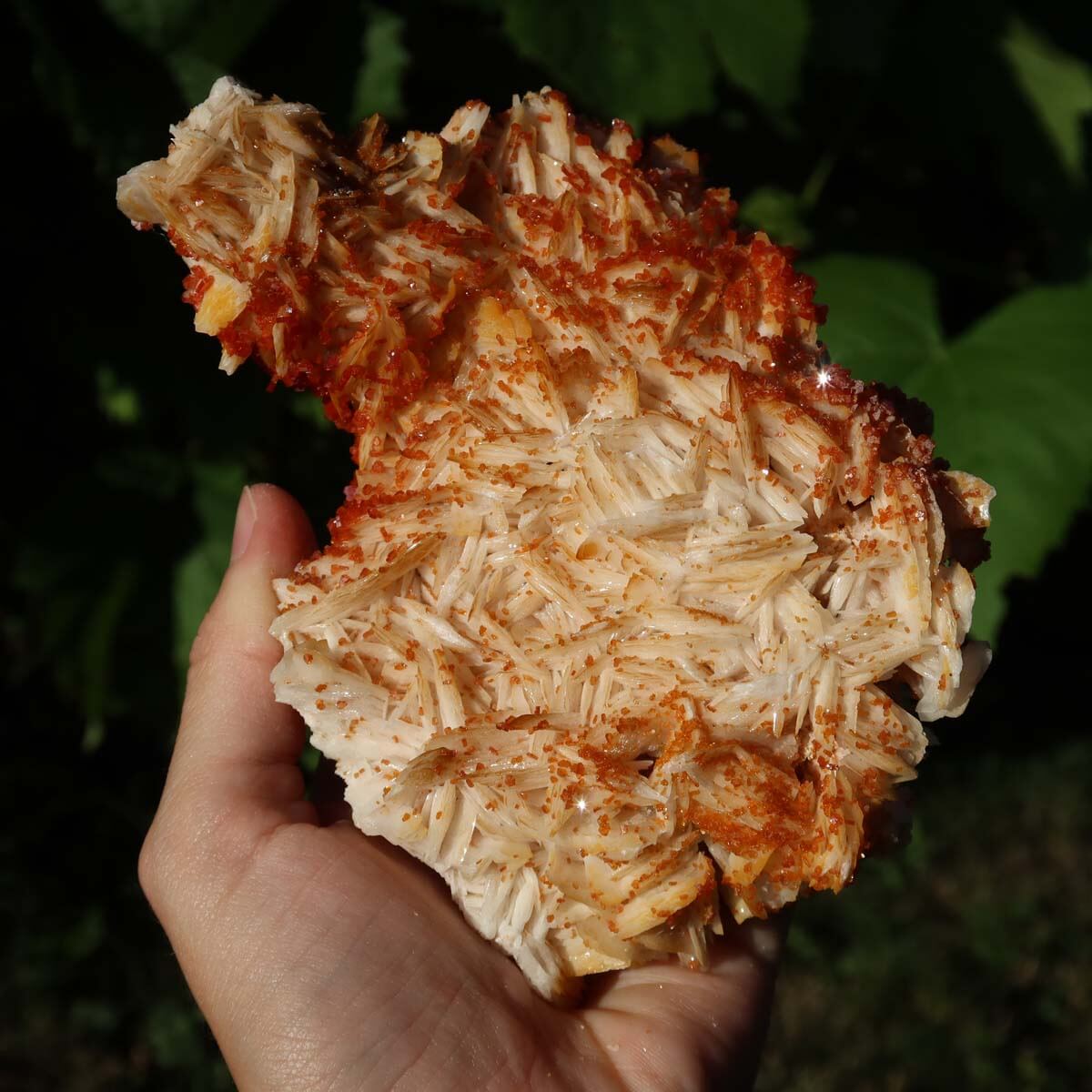 Vanadinit auf Baryt - Natürliche Kristallstufe aus Marokko 14x9x5cm - 0,6kg Nr.83 in der Hand