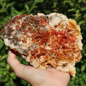Vanadinit auf Baryt - Natürliche Kristallstufe aus Marokko 15x12x6cm - 0,97kg Nr.86 in Hand gehalten.