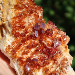Vanadinit auf Baryt - Natürliche Kristallstufe aus Marokko 16x6x6cm - 0,72kg Nr.71 - Roter und orangefarbener Rohstein