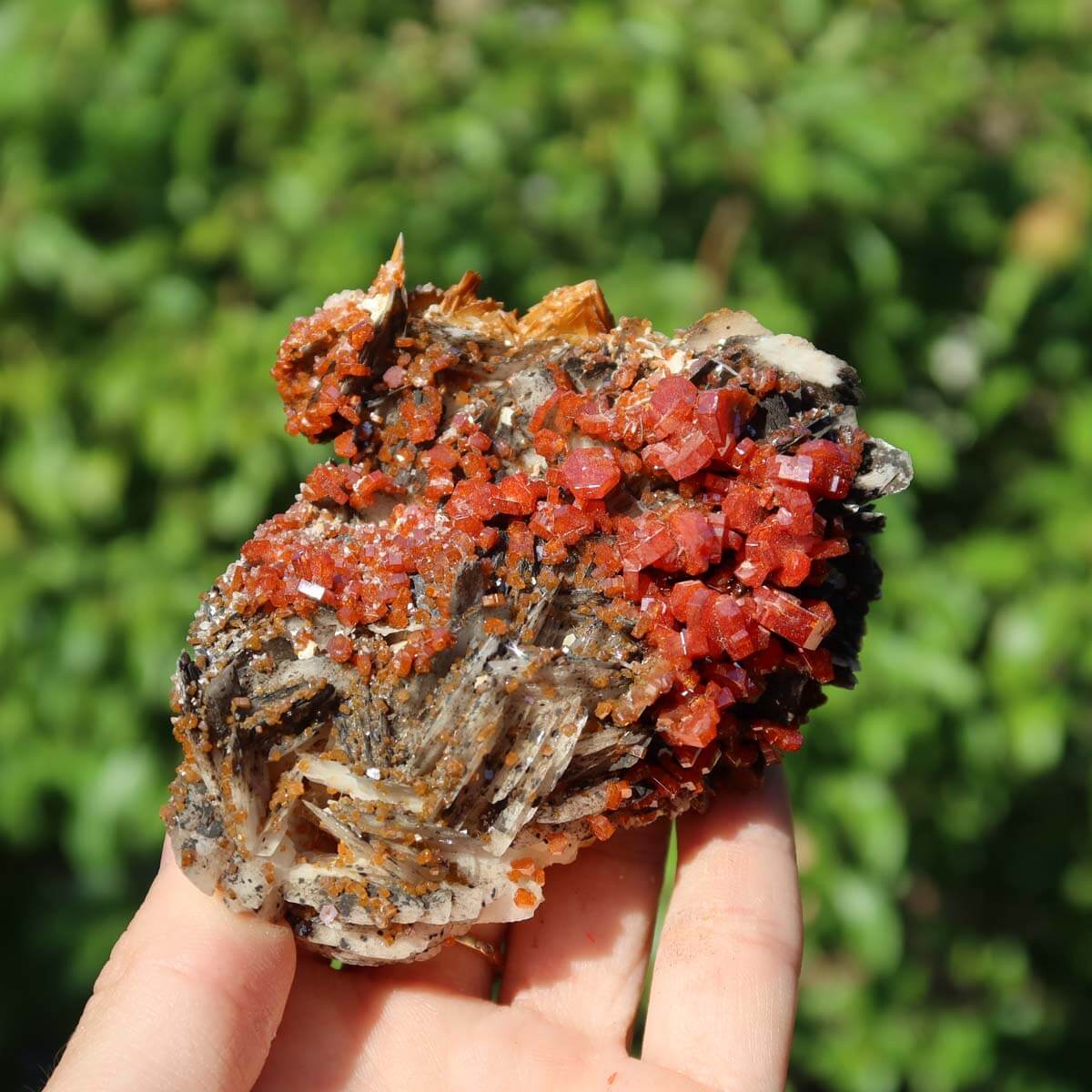 Vanadinit auf Baryt - Natürliche Kristallstufe aus Marokko 8,5x7x4cm - 0,21kg Nr.63 in Hand