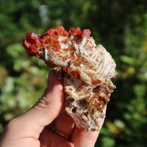 Vanadinit auf Baryt - Natürliche Kristallstufe aus Marokko 8x5x4cm - 0,18kg Nr.66 in Hand gehalten