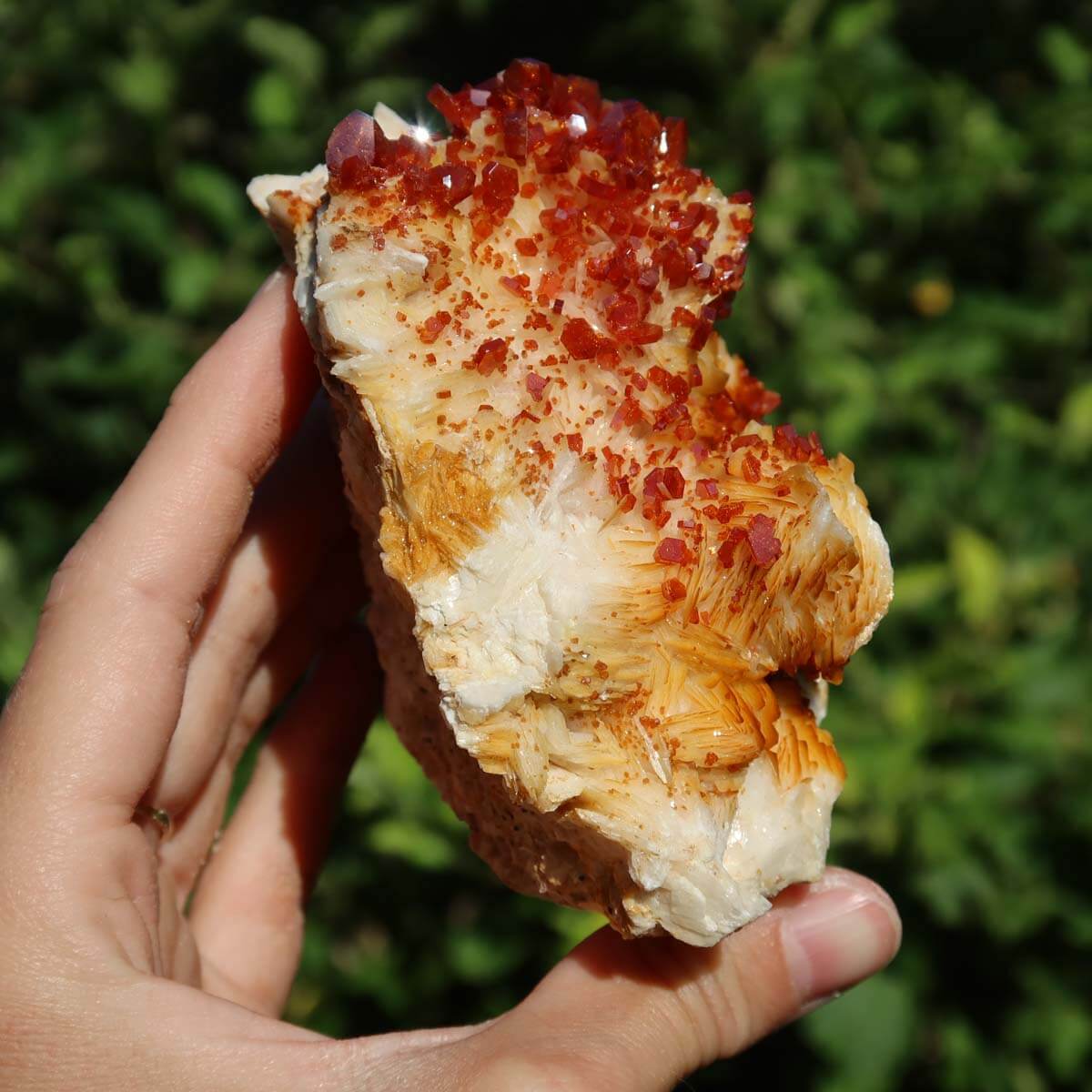 Vanadinit auf Baryt - Natürliche Kristallstufe aus Marokko 9,5x7x5cm - 0,56kg Nr.72 in Hand, rote Kristalle auf Baryt.