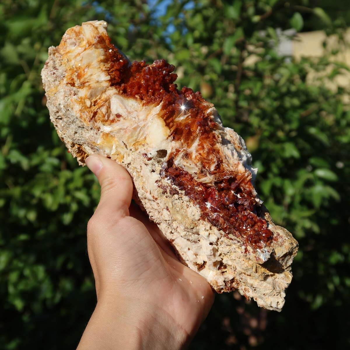 Vanadinit auf Baryt - Natürliche Kristallstufe aus Marokko 21x7x5cm - 1,16kg Nr.80 in Hand gehalten
