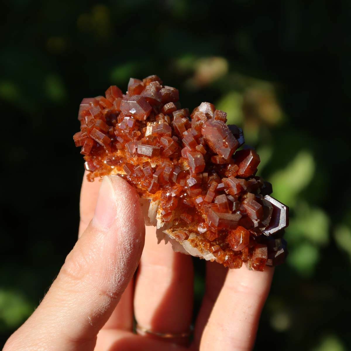 Vanadinit auf Baryt - Natürliche Kristallstufe aus Marokko 7x4x3cm - 0,1kg Nr.88 in der Hand.