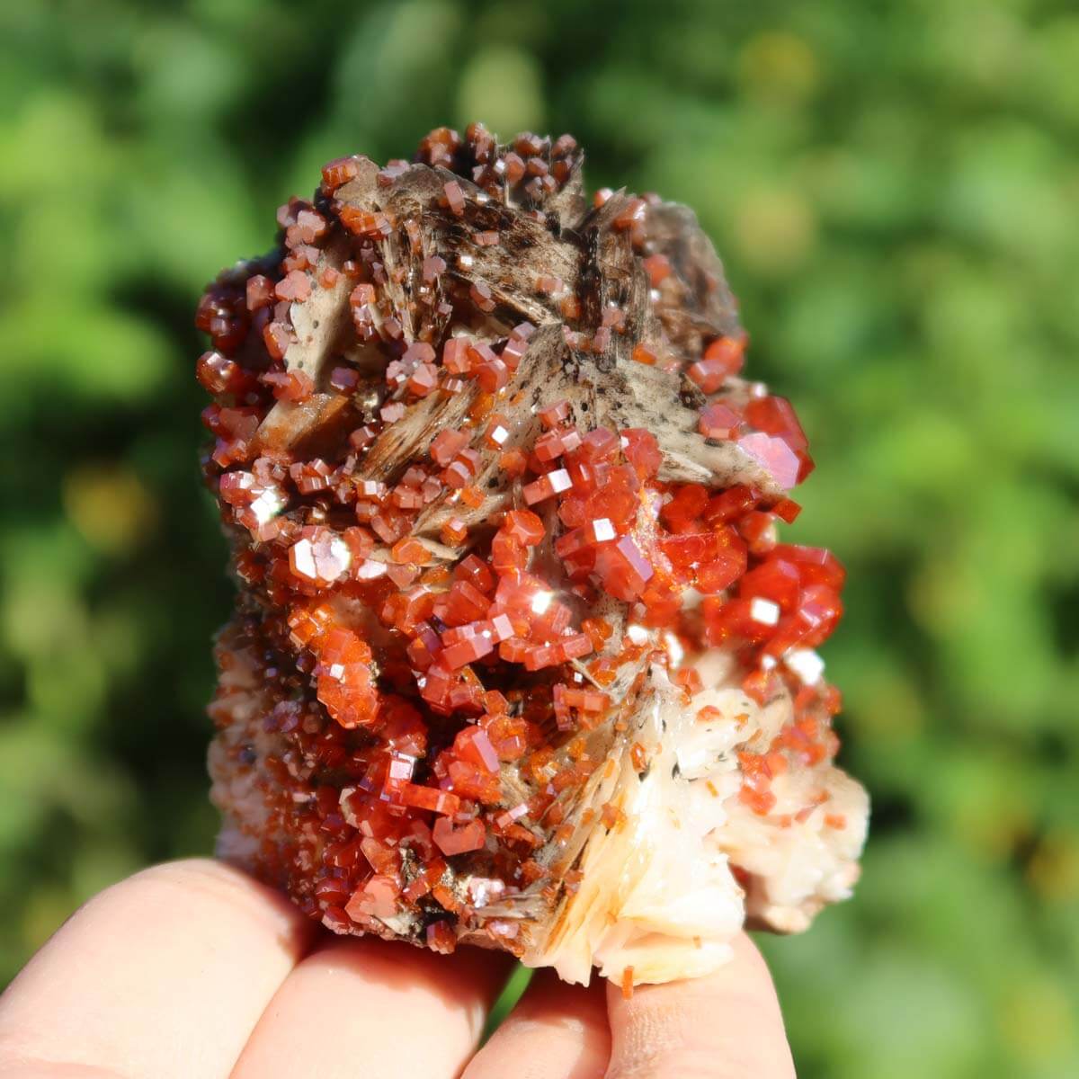 Vanadinit auf Baryt - Natürliche Kristallstufe aus Marokko 6x5x5cm - 0,26kg Nr.64 in Hand gehalten