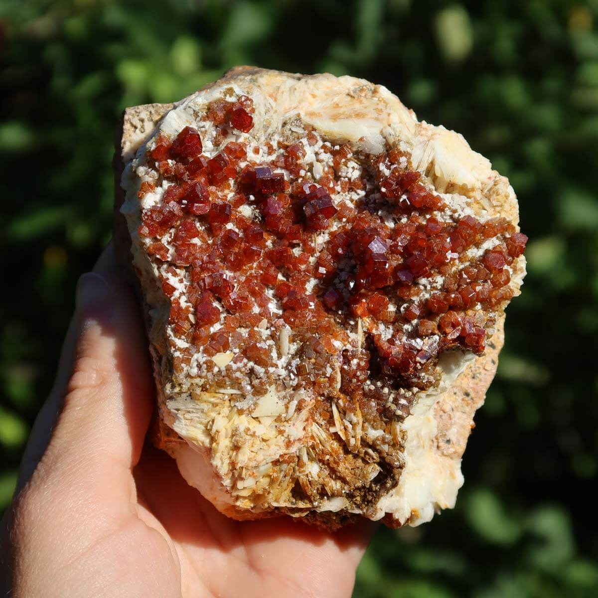 Vanadinit auf Baryt - Natürliche Kristallstufe aus Marokko 10x7x5cm - 0,58kg Nr.78 in der Hand haltend.