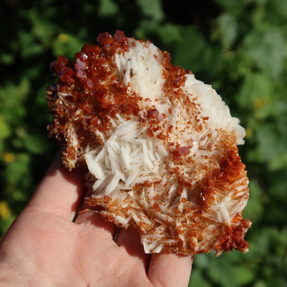 Vanadinit auf Baryt - Natürliche Kristallstufe aus Marokko 10x7x3cm - 0,23kg Nr.73, tropfenartiger roter Kristall in Hand