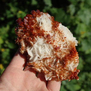 Vanadinit auf Baryt - Natürliche Kristallstufe aus Marokko 10x7x3cm - 0,23kg Nr.73, tropfenartiger roter Kristall in Hand