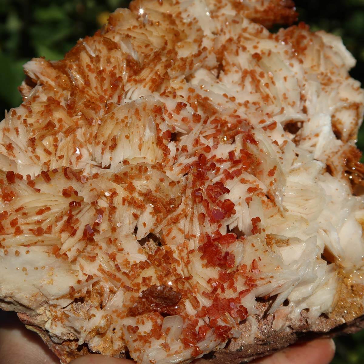 Vanadinit auf Baryt - Natürliche Kristallstufe aus Marokko 15x13x5cm - 1,1kg Nr.85 in voller Pracht