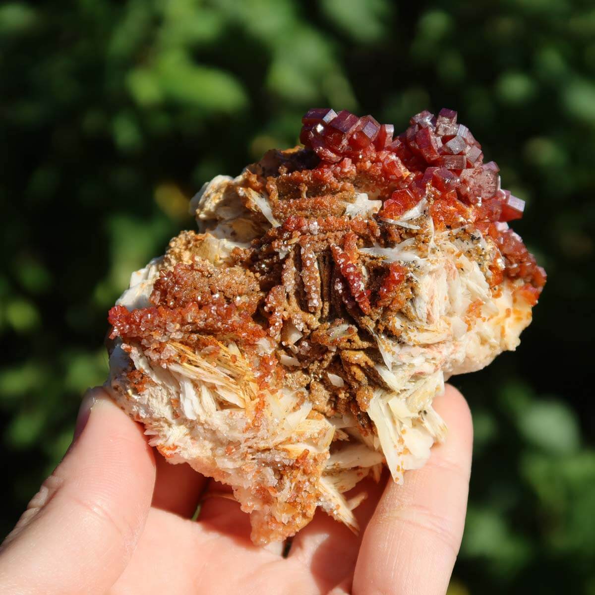 Vanadinit auf Baryt - Natürliche Kristallstufe aus Marokko 8x6x4,5cm - 0,23kg Nr.61 in der Hand gehalten
