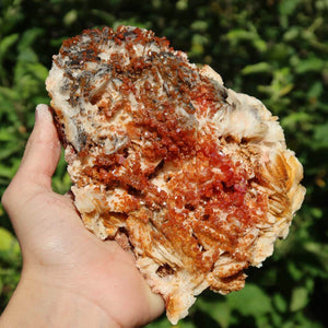 Vanadinit auf Baryt - Natürliche Kristallstufe aus Marokko 15x12x6cm - 0,97kg Nr.86 in Hand